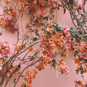 女人自慰全过程(有声
